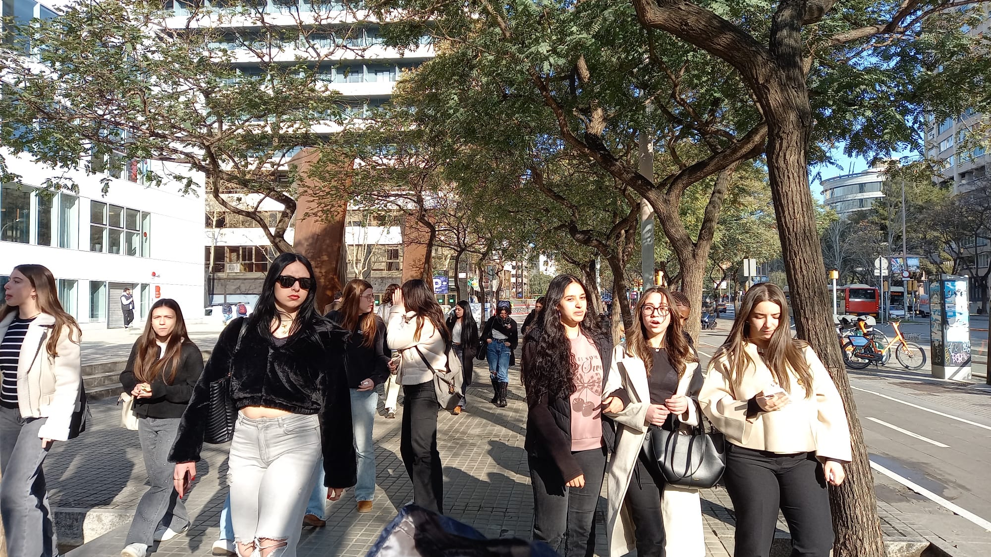 WhatsApp Image 2025-04-01 at 11.27.51