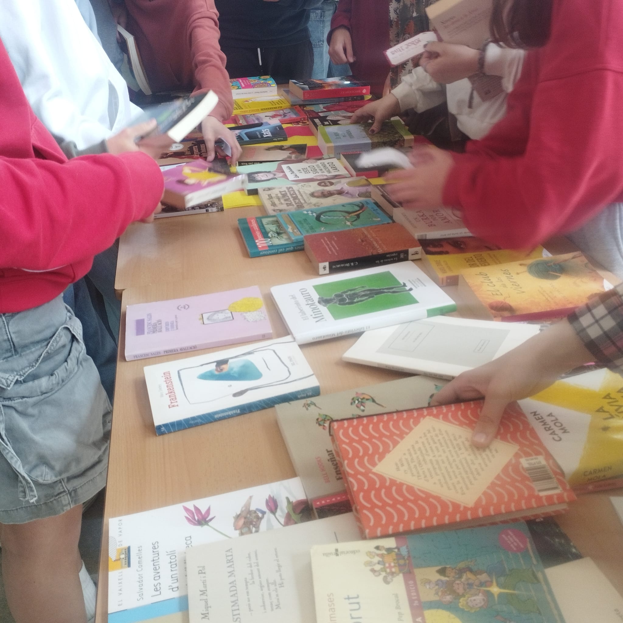 WhatsApp Image 2025-04-29 at 11.22.44