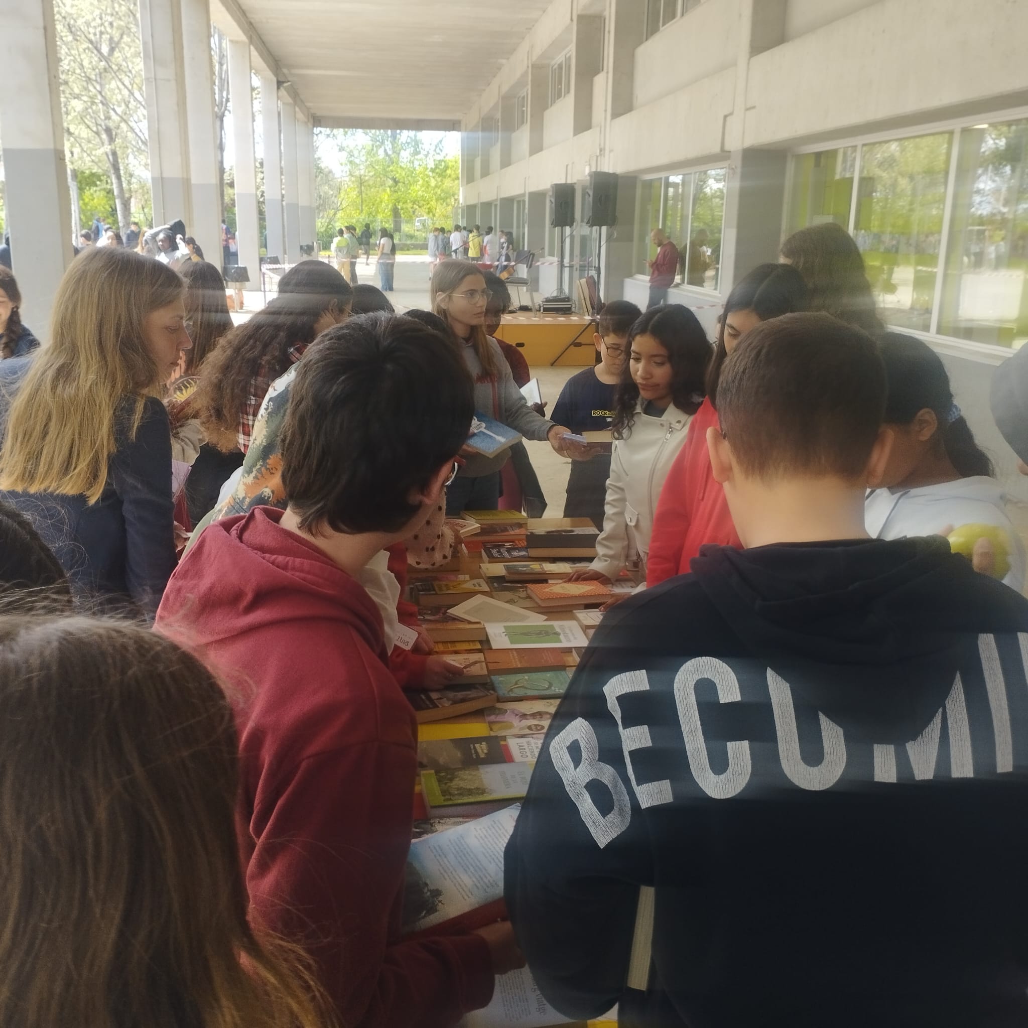 WhatsApp Image 2025-04-29 at 11.22.47