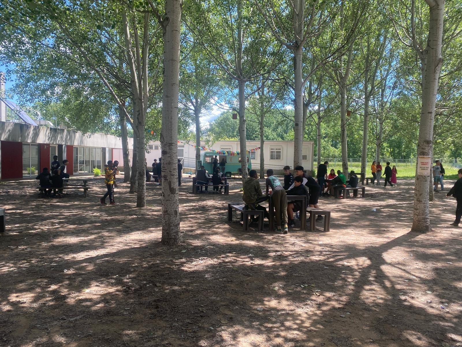 WhatsApp Image 2025-05-27 at 10.34.06 (17)