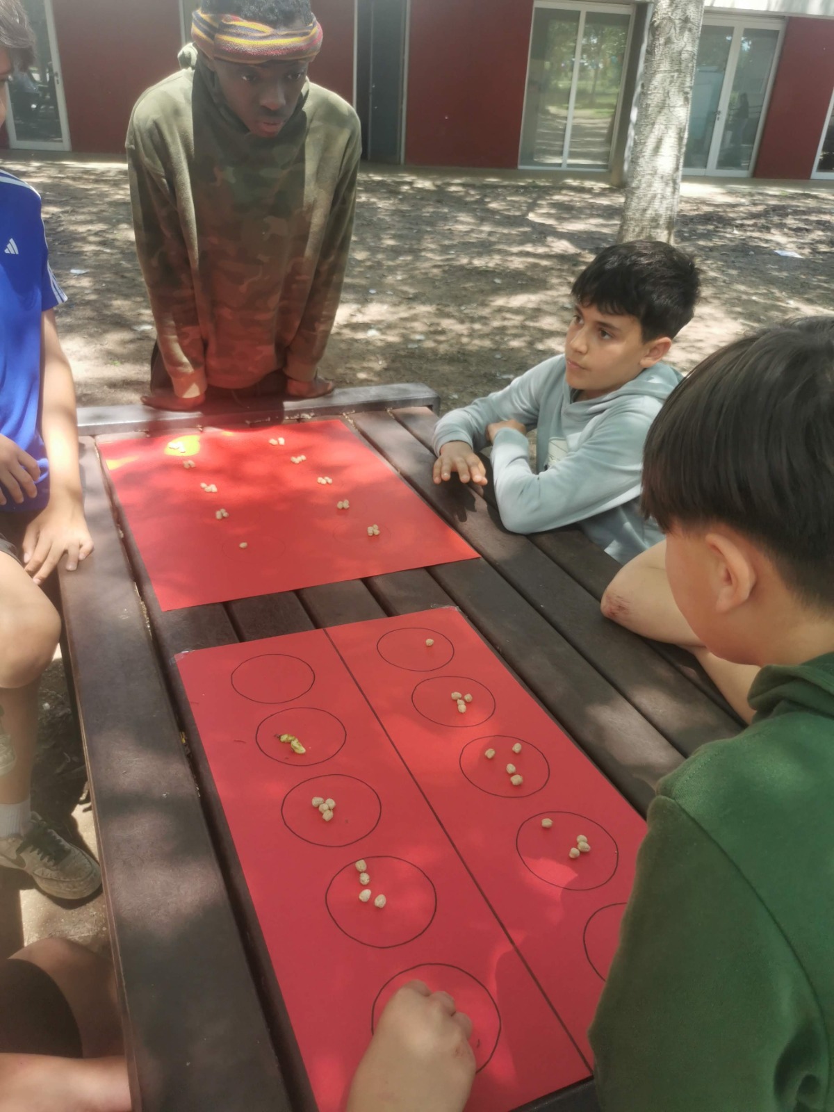 WhatsApp Image 2025-05-27 at 10.34.06 (22)