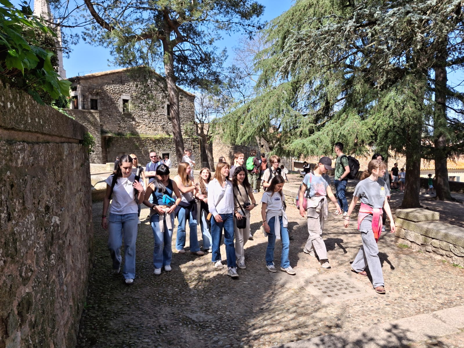 WhatsApp Image 2025-04-06 at 9.00.36 PM