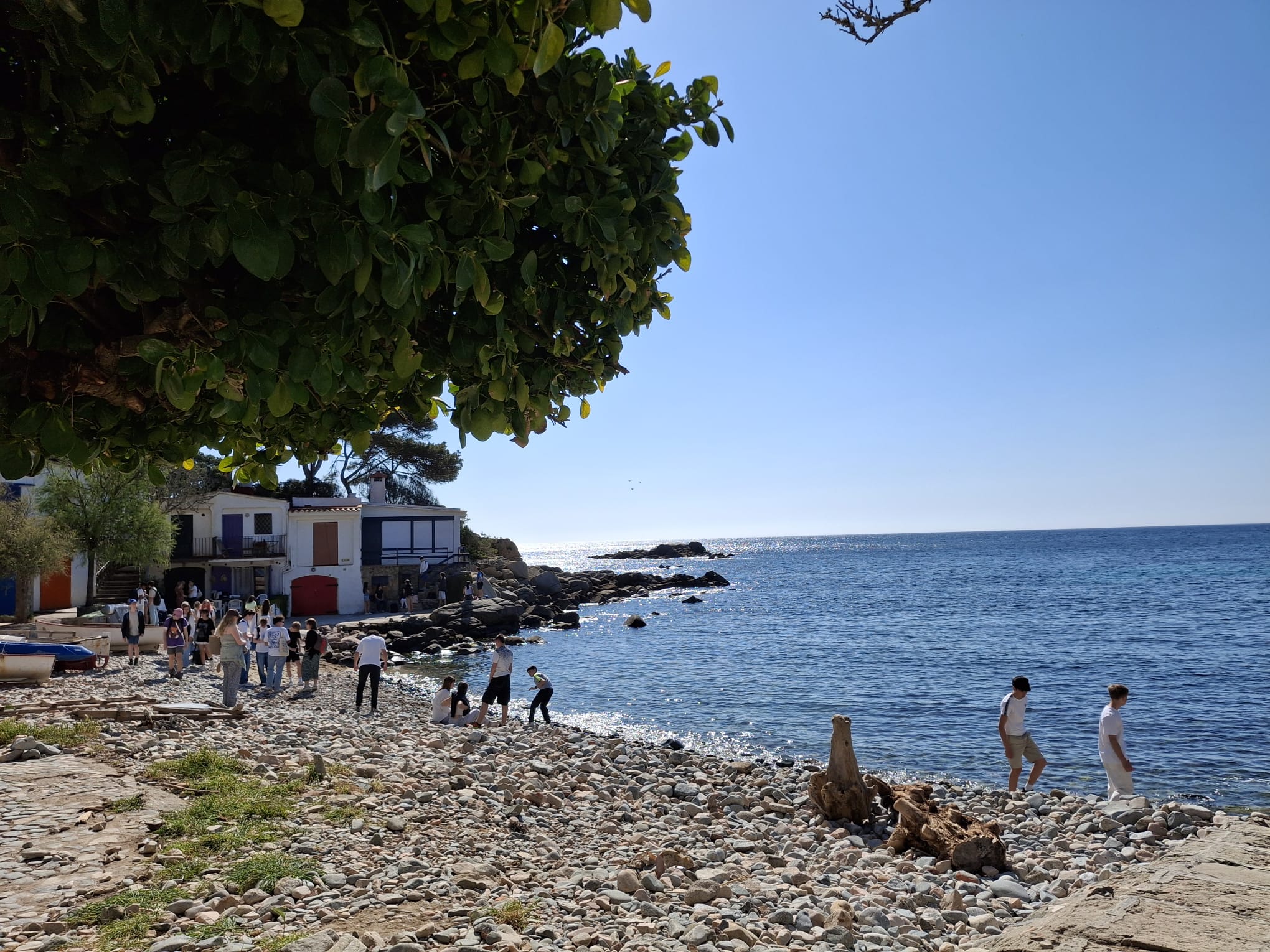 WhatsApp Image 2025-04-07 at 5.44.13 PM