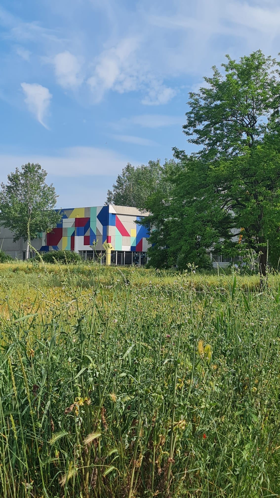 WhatsApp Image 2025-06-06 at 9.21.17 PM