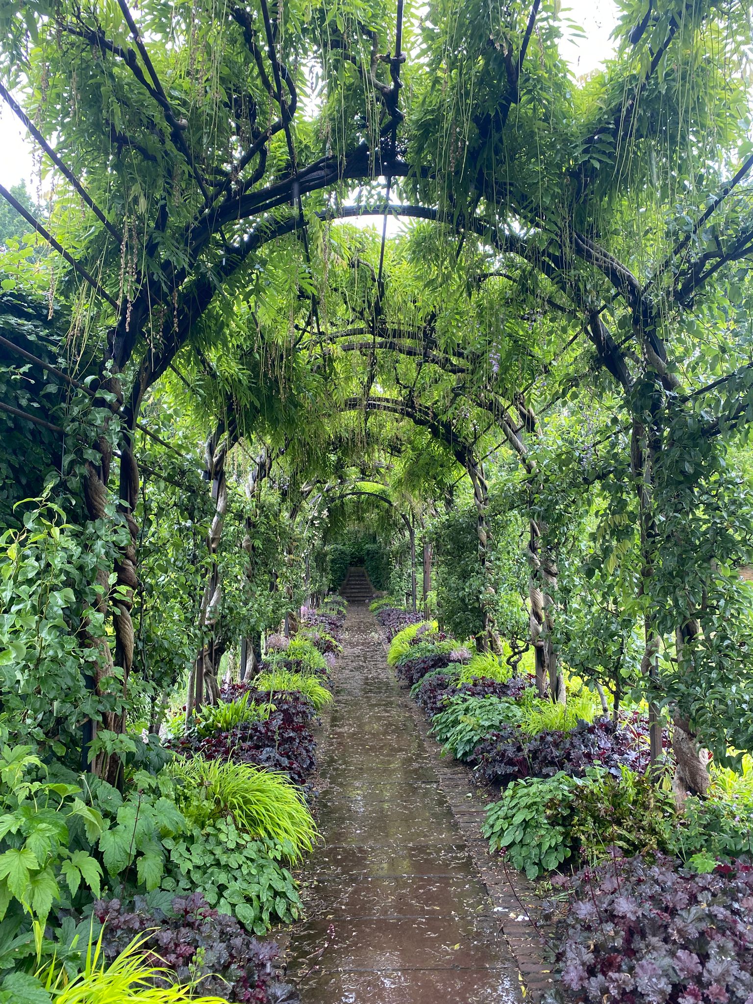 WhatsApp Image 2025-06-09 at 7.32.28 PM