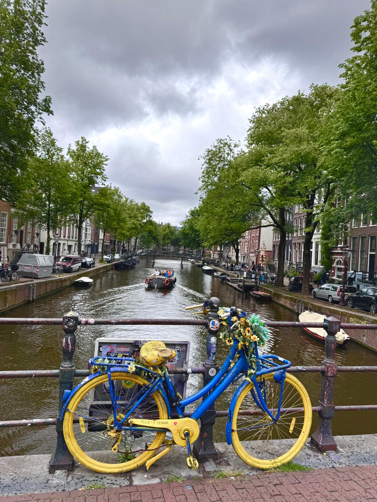 WhatsApp Image 2025-06-10 at 6.10.10 PM