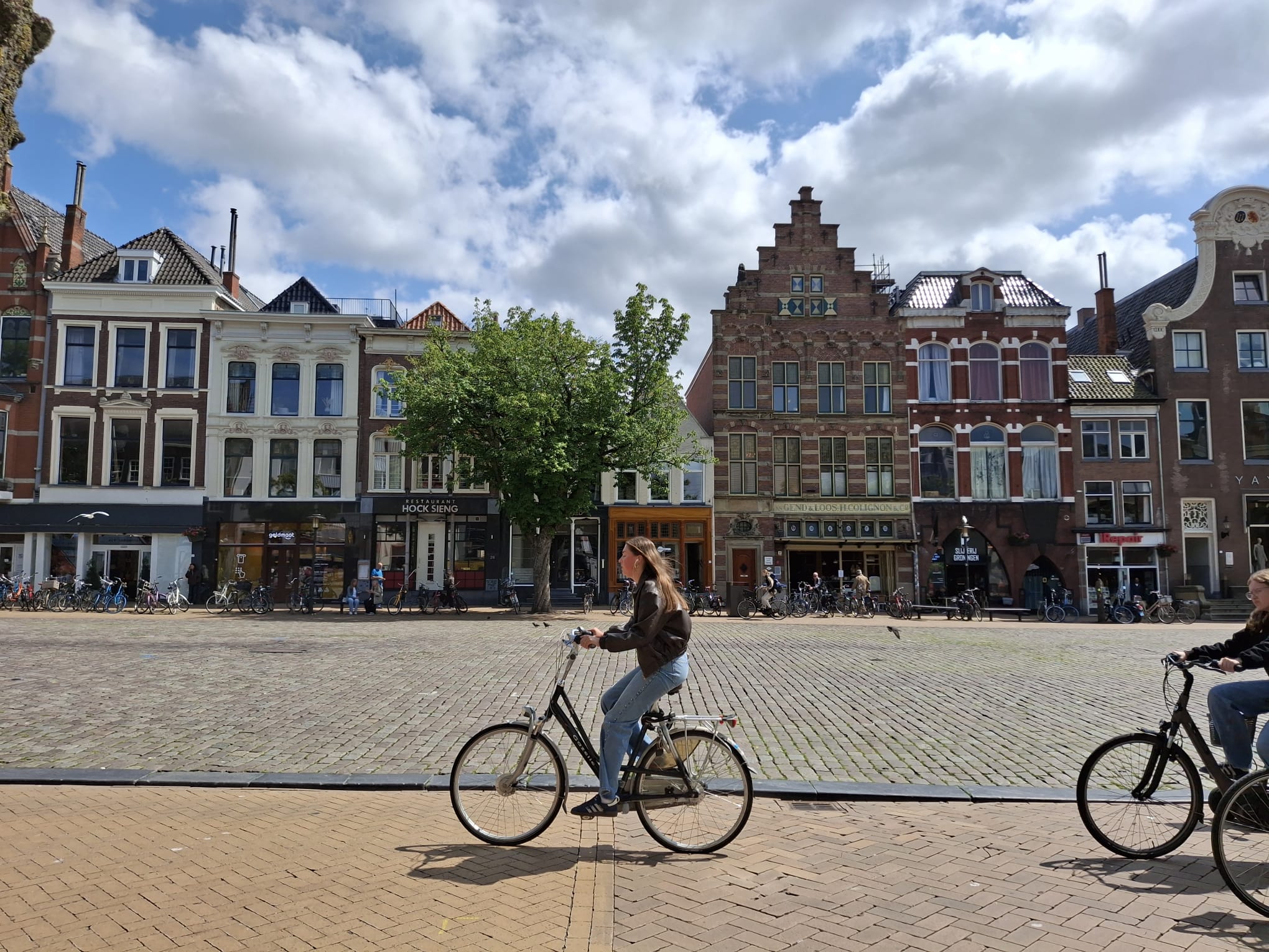 WhatsApp Image 2025-06-12 at 10.31.51 AM (1)