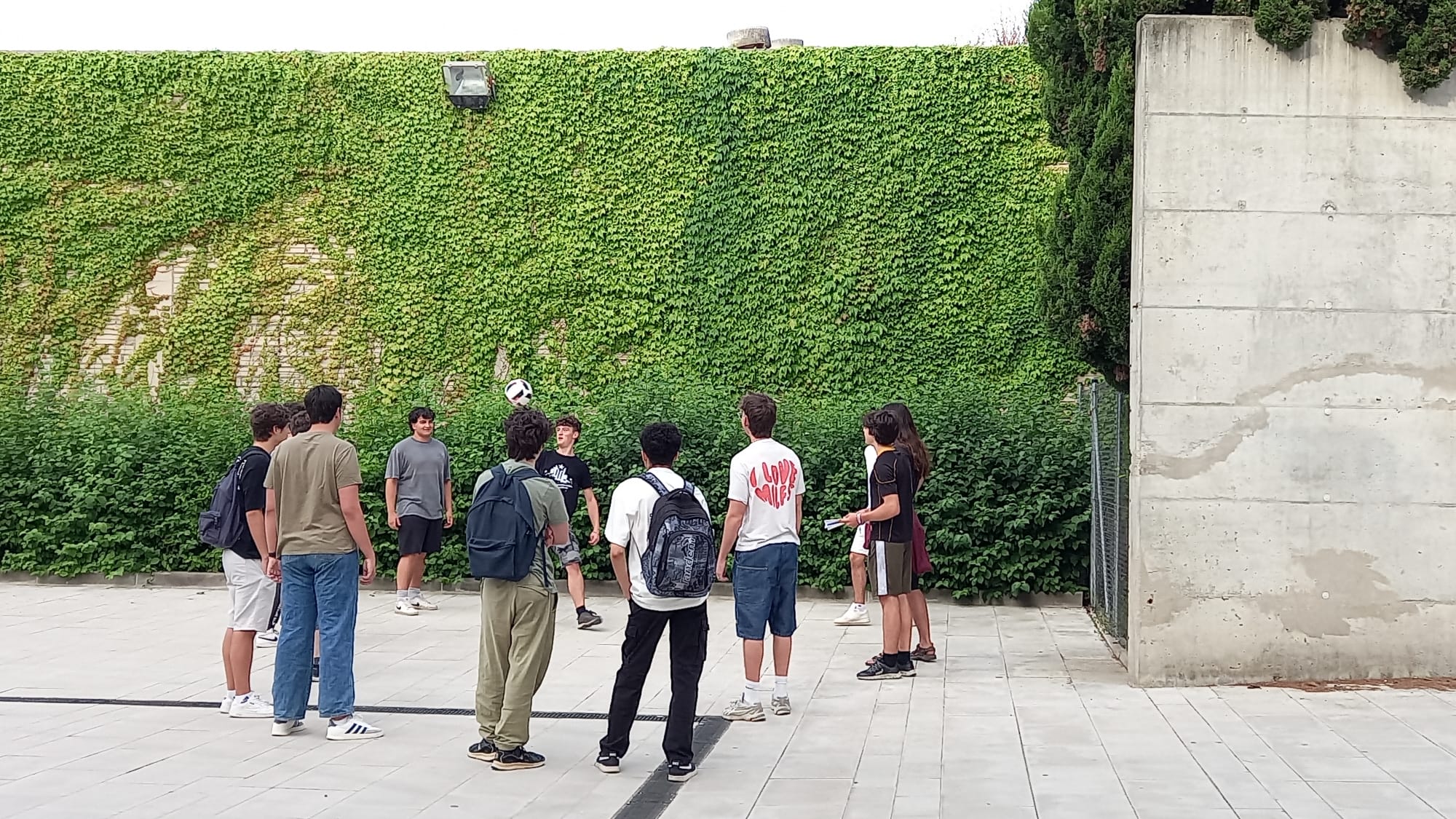 WhatsApp Image 2025-06-17 at 10.52.06