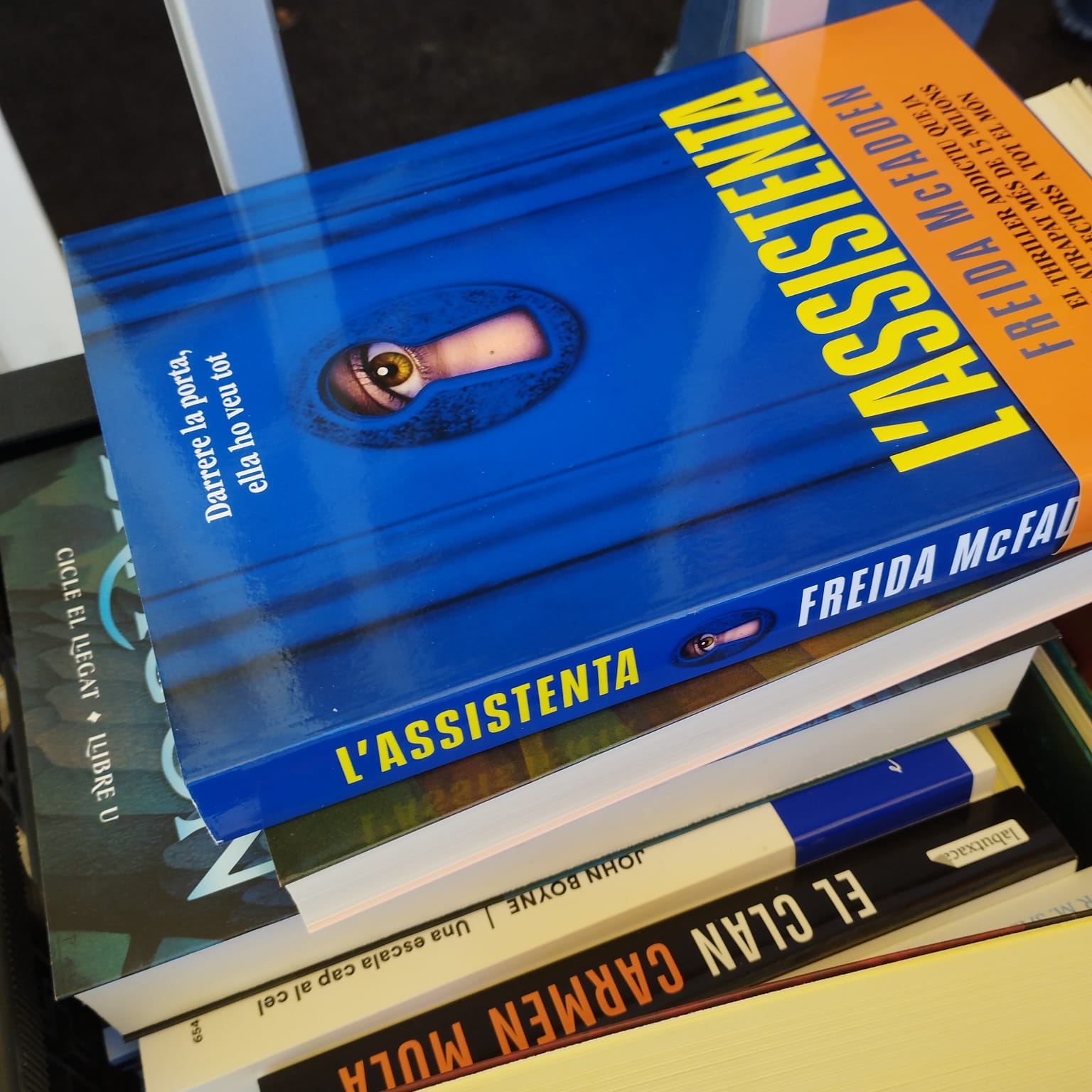 WhatsApp Image 2025-10-03 at 6.01.57 PM (1)