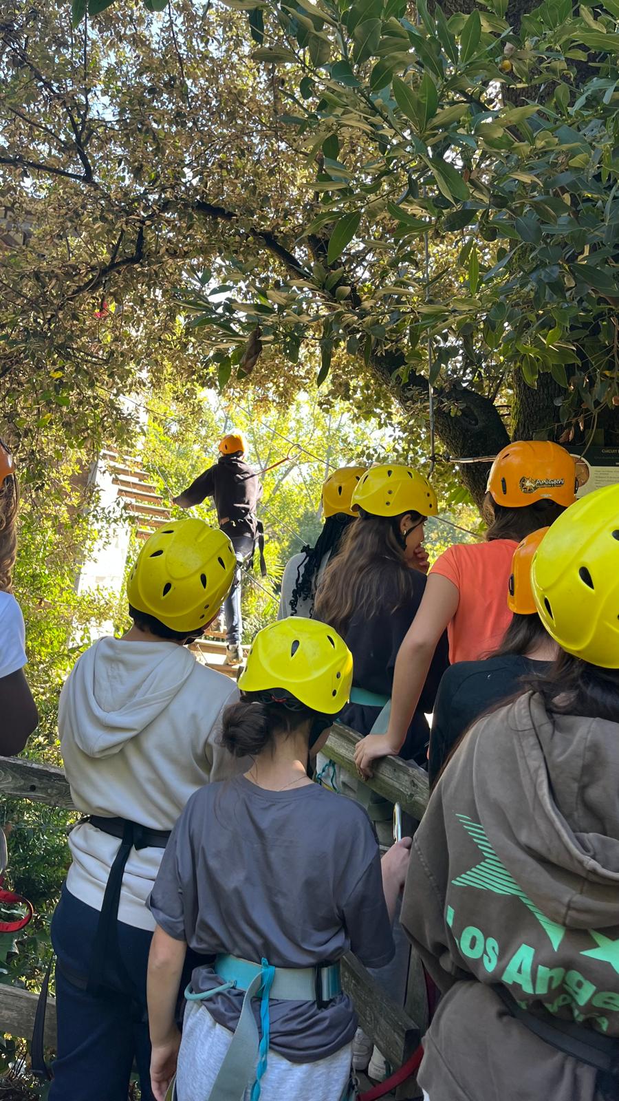 WhatsApp Image 2025-10-22 at 7.47.13 PM (3)