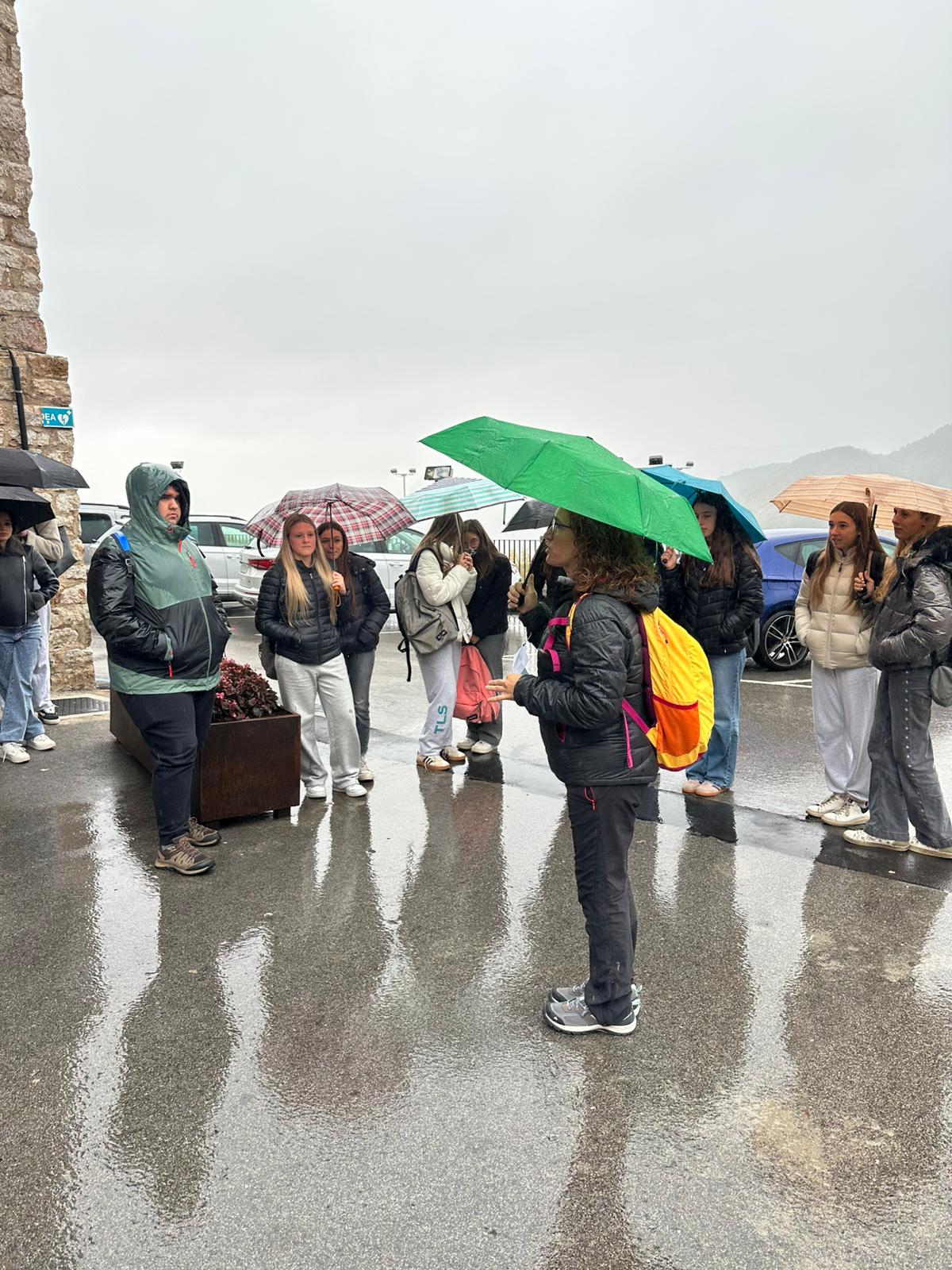 WhatsApp Image 2025-10-30 at 5.10.27 PM