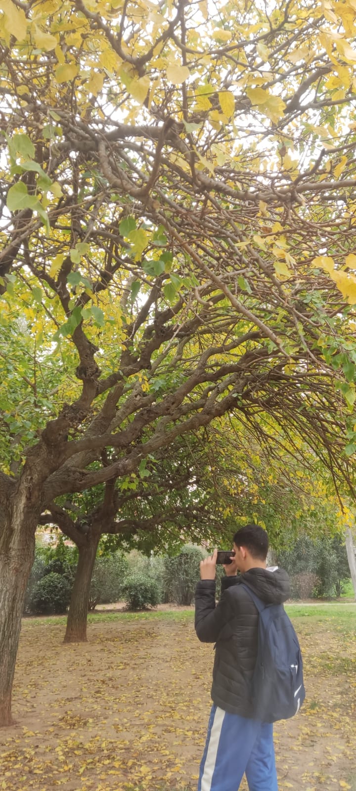 PHOTO-2025-11-14-12-36-36