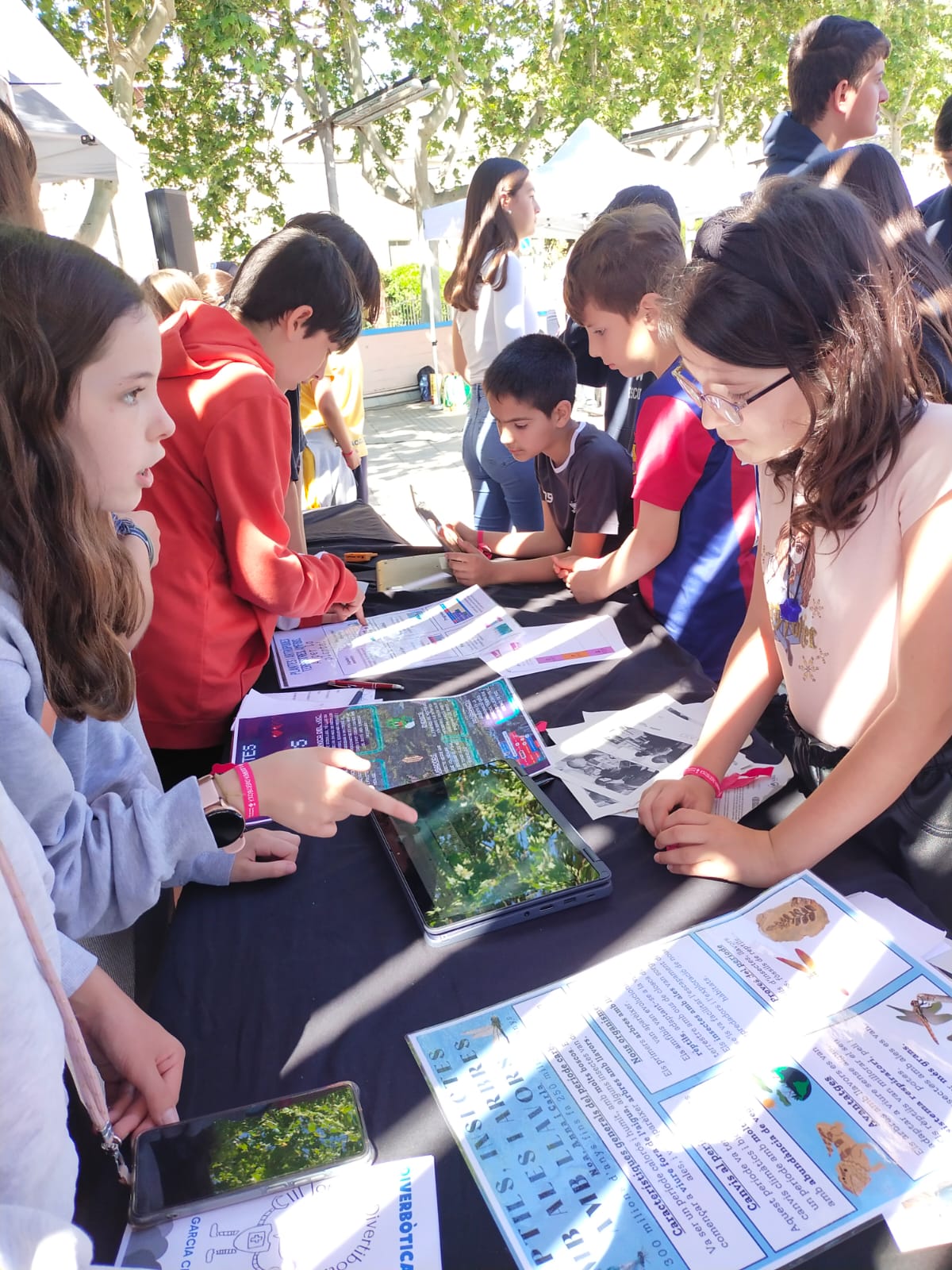 WhatsApp Image 2025-05-21 at 23.09.30 (1)