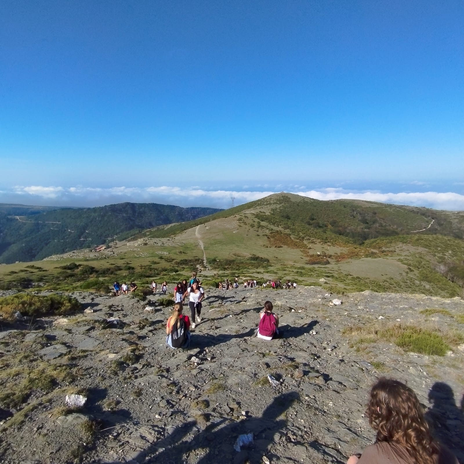 WhatsApp Image 2023-10-06 at 07.49.07