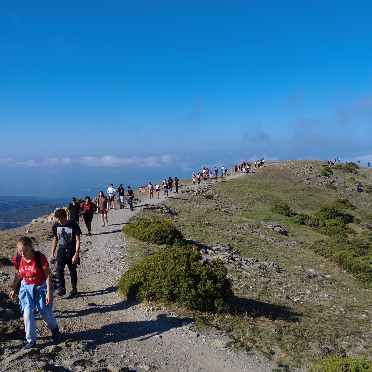 WhatsApp Image 2023-10-06 at 07.49.09 (1)