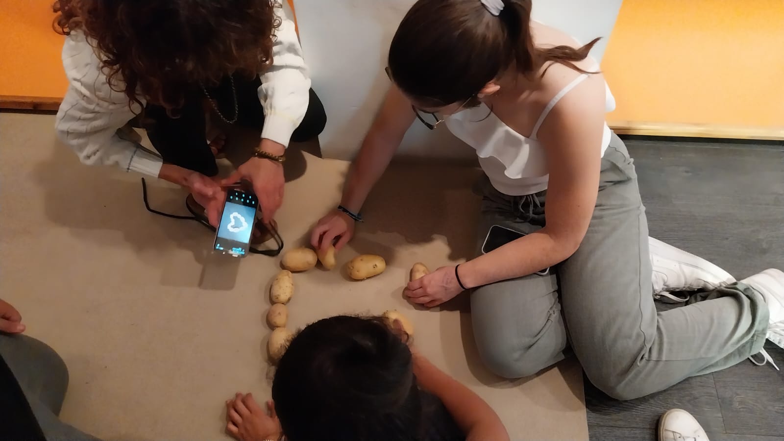 insleonardo-varda-f3