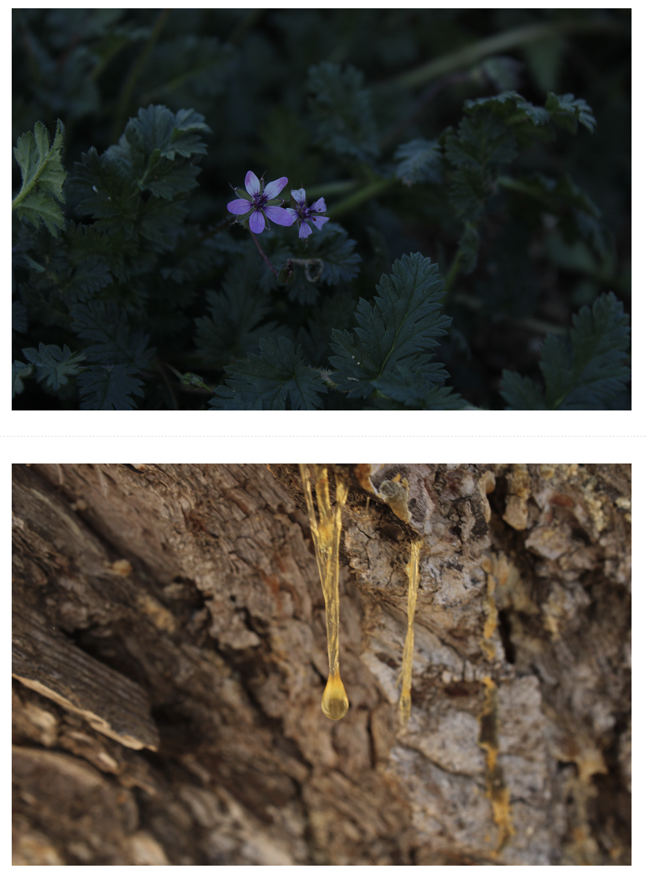 Captura de pantalla 2026-03-09 a les 19.23.03