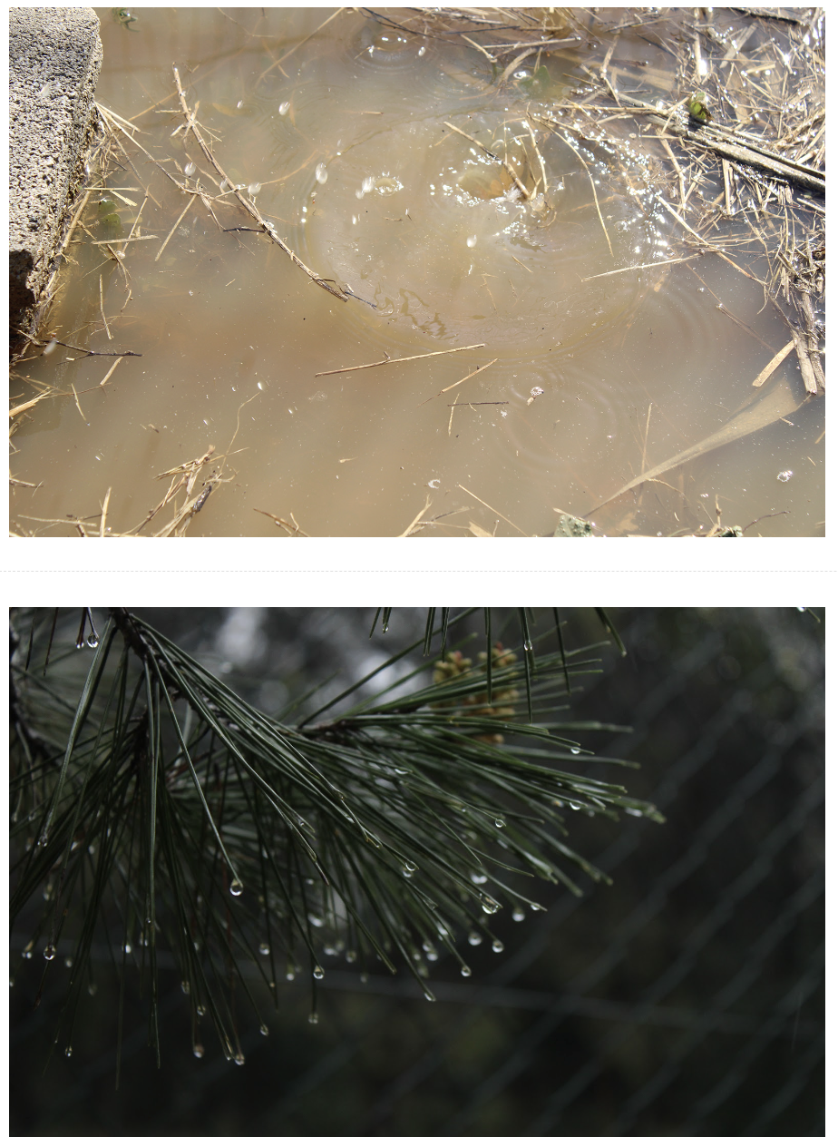 Captura de pantalla 2026-03-09 a les 19.23.18