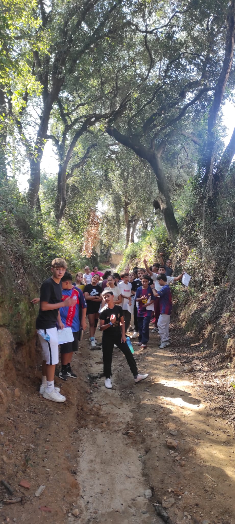 06ff1e5a-bd94-4e31-aef2-4897a86ab7dd