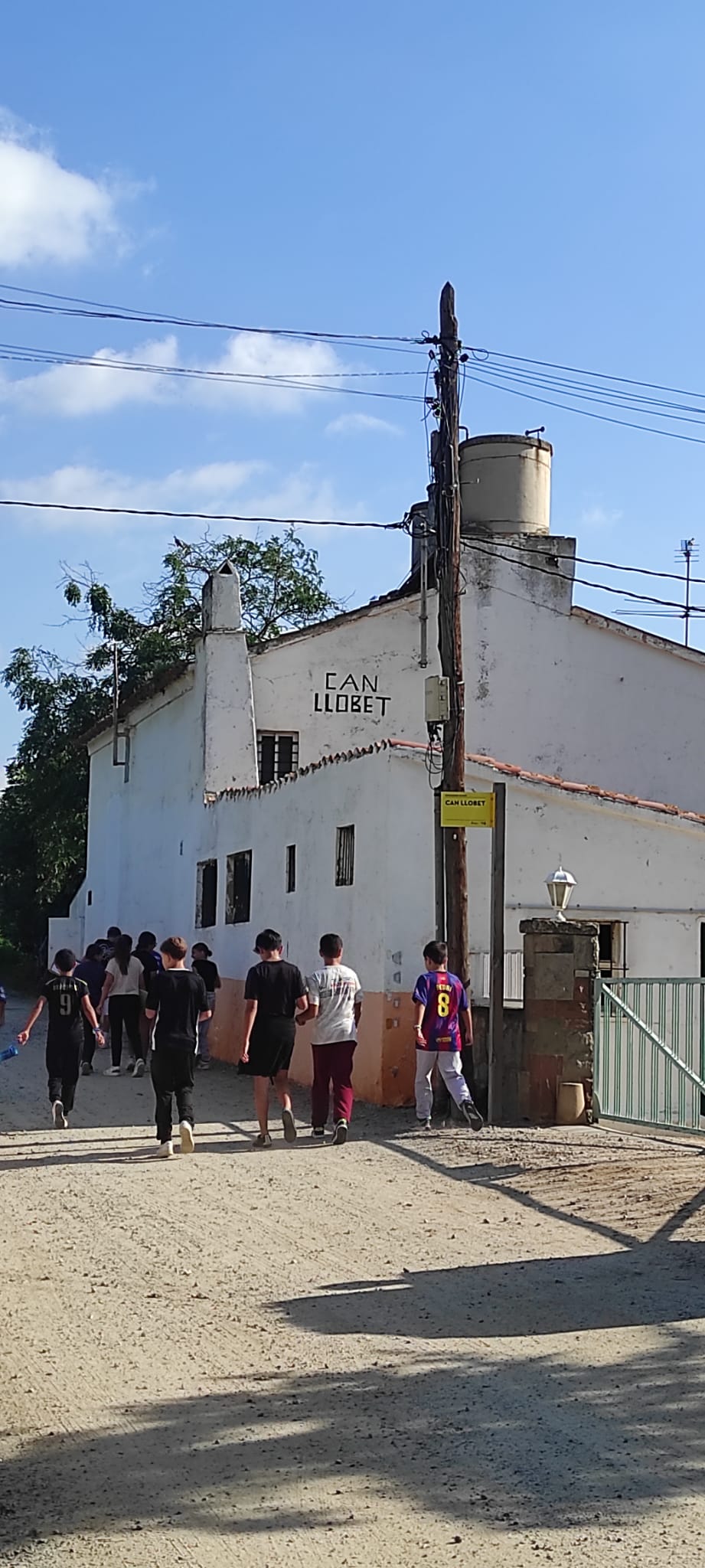 24341a62-de68-4f05-b35e-a664beb8694e