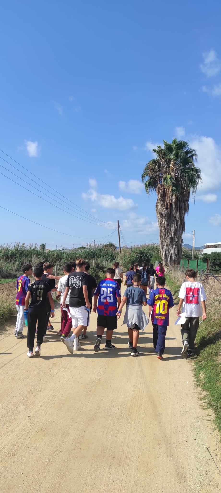 3107060b-1efb-4c61-9226-7555448074b3