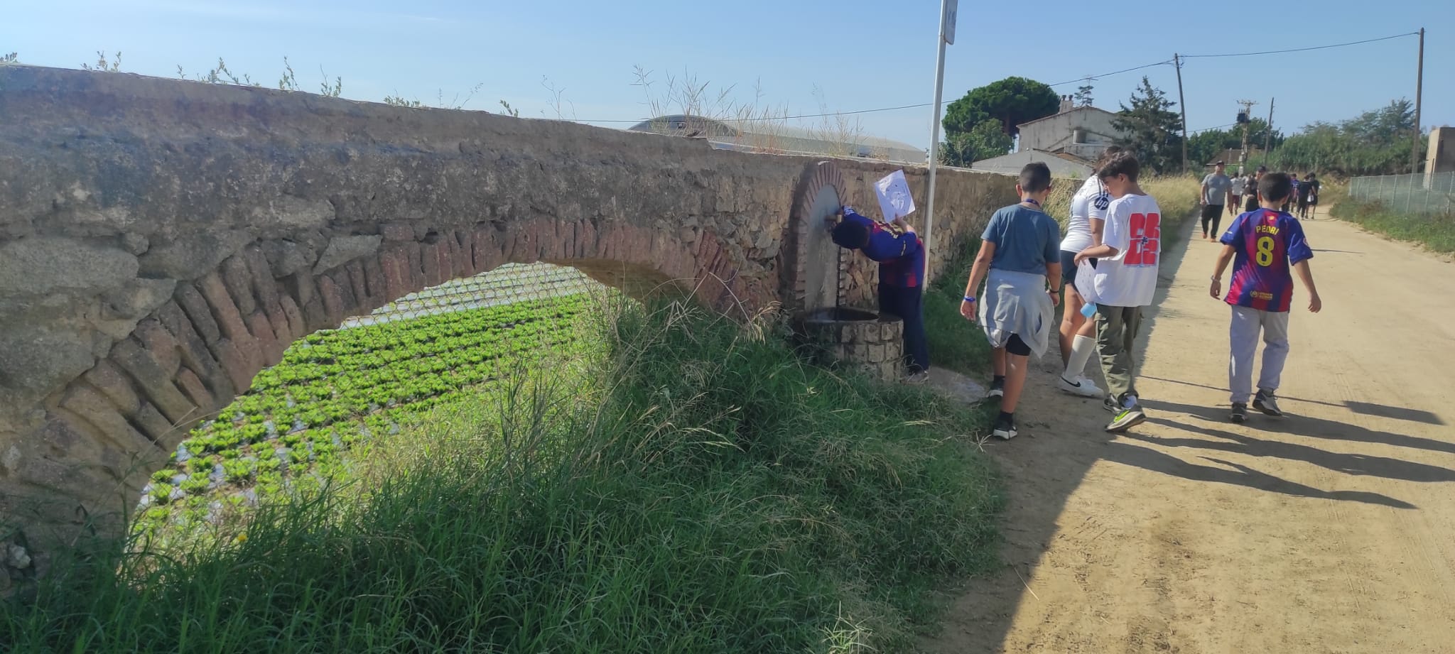 8218ea43-b187-4782-a322-6b1badd422c7