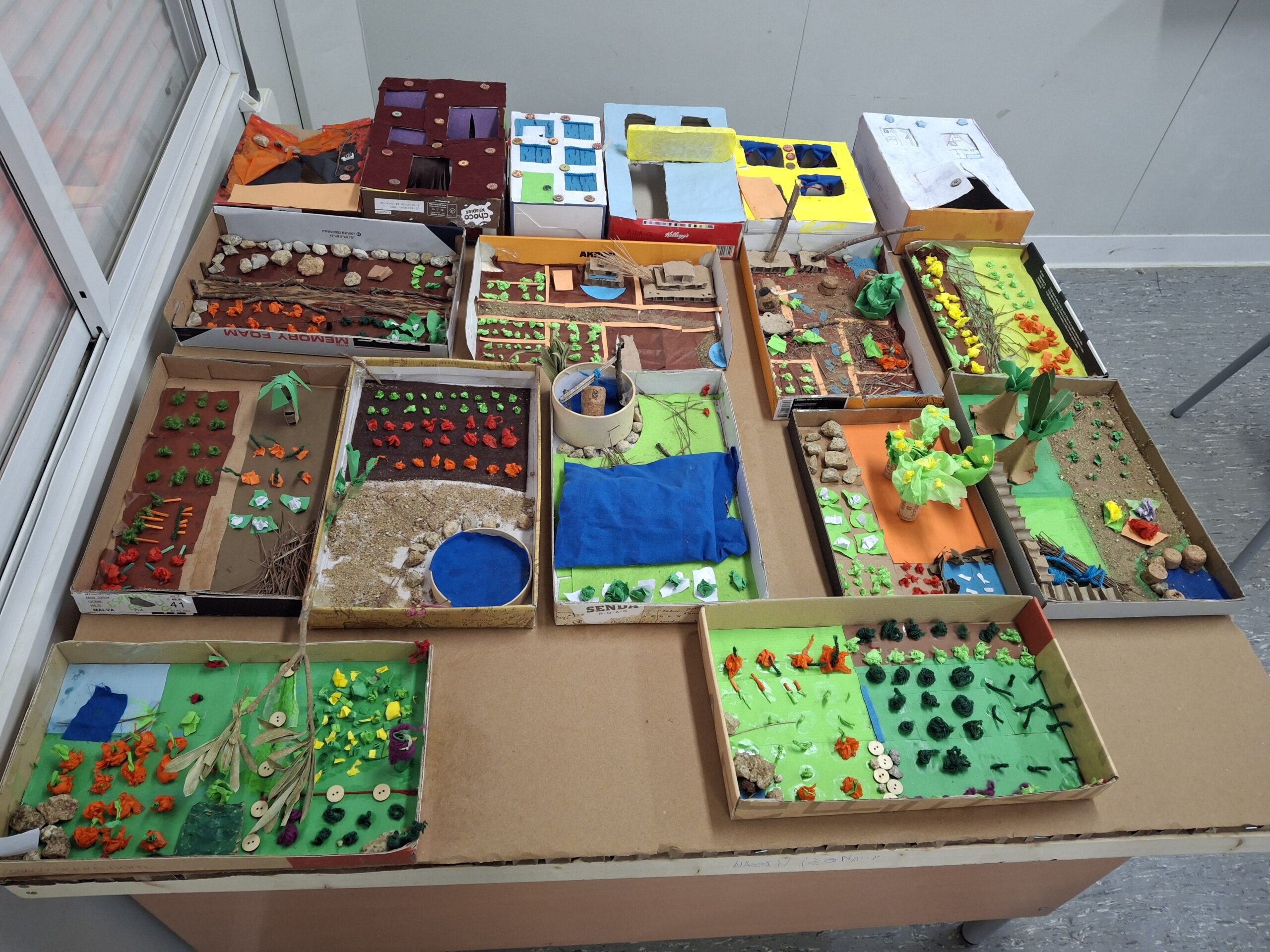 Còpia de Que_tem_l5s_03