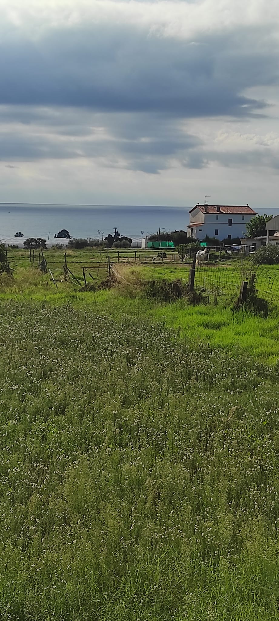 e6e0090c-3f70-4d20-9a4c-a0759a811866