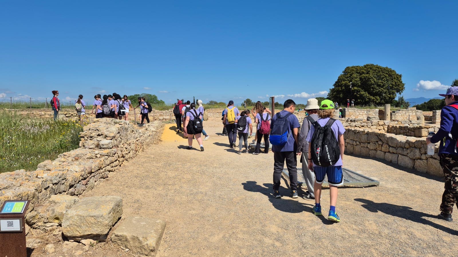 WhatsApp Image 2025-04-29 at 14.23.35 (1)