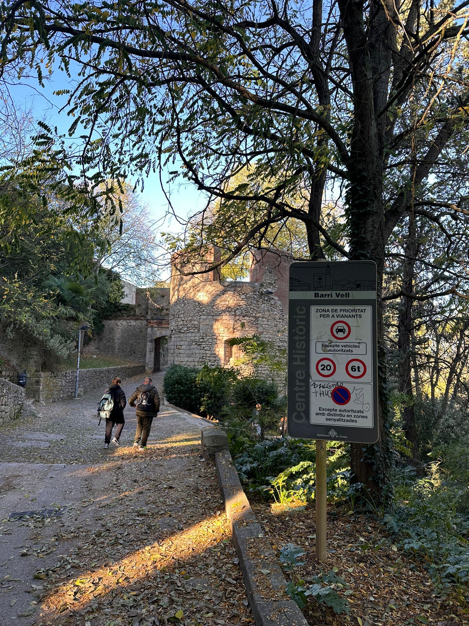 WhatsApp Image 2025-11-21 at 12.37.27 (1)