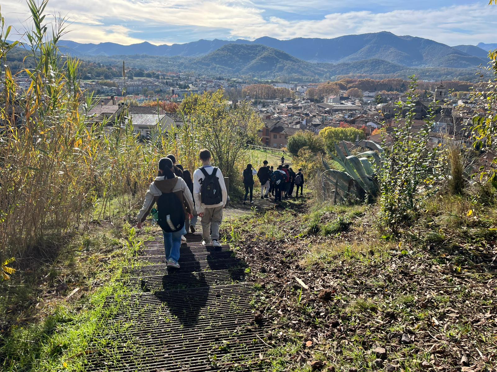 a1accee5-b217-4355-b84e-c02a79c34853