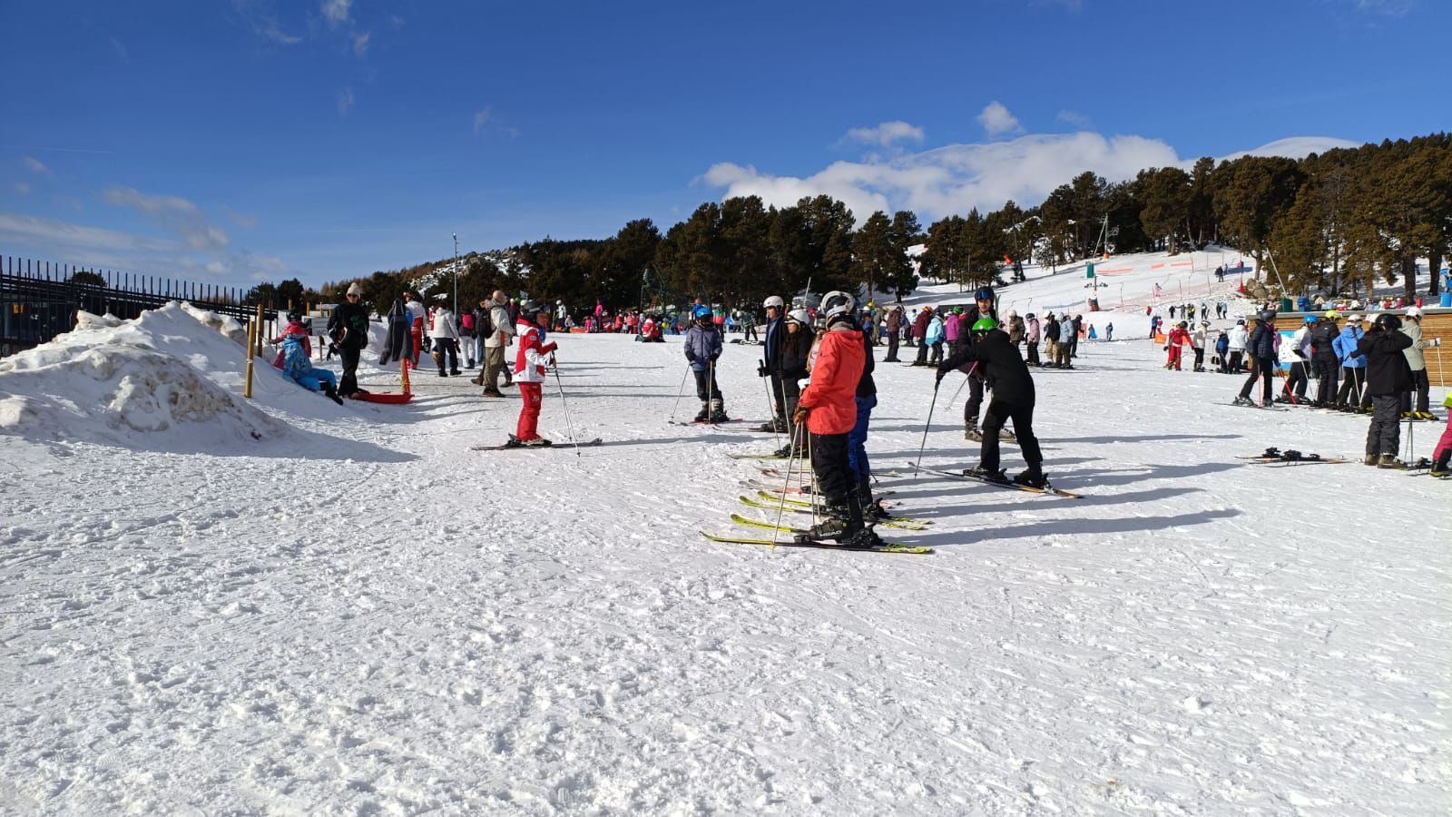 WhatsApp Image 2026-01-12 at 12.08.52 (1)