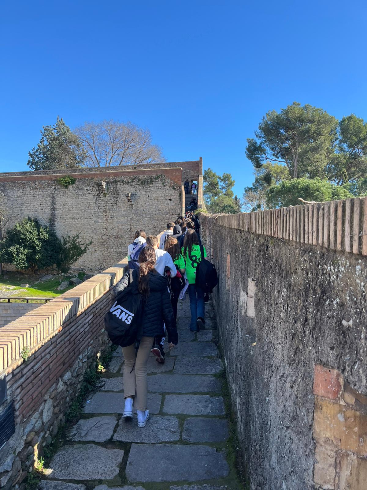 WhatsApp Image 2026-02-09 at 15.22.55 (3)