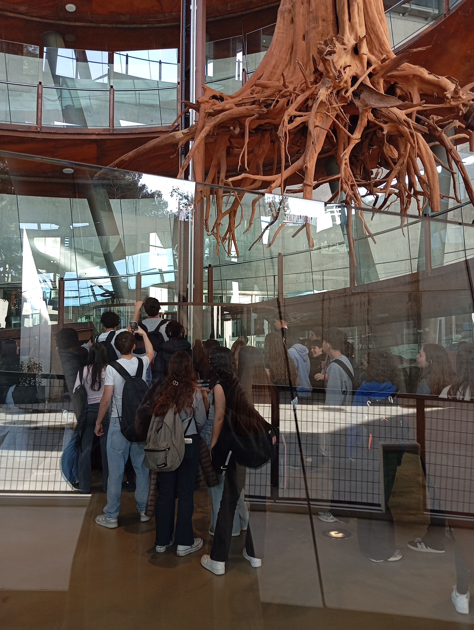 WhatsApp Image 2026-03-11 at 19.37.28 (1)