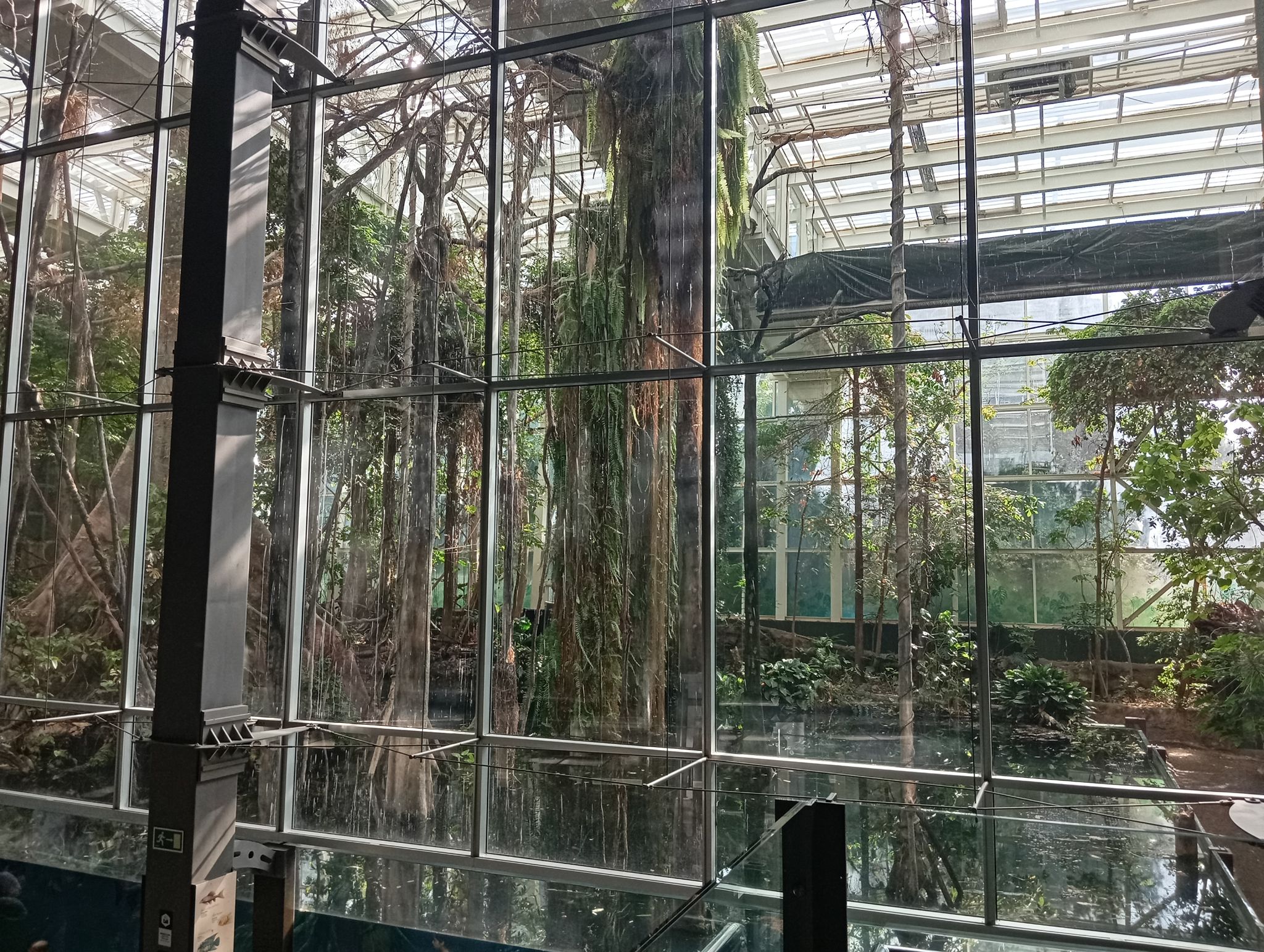 WhatsApp Image 2026-03-11 at 19.37.28