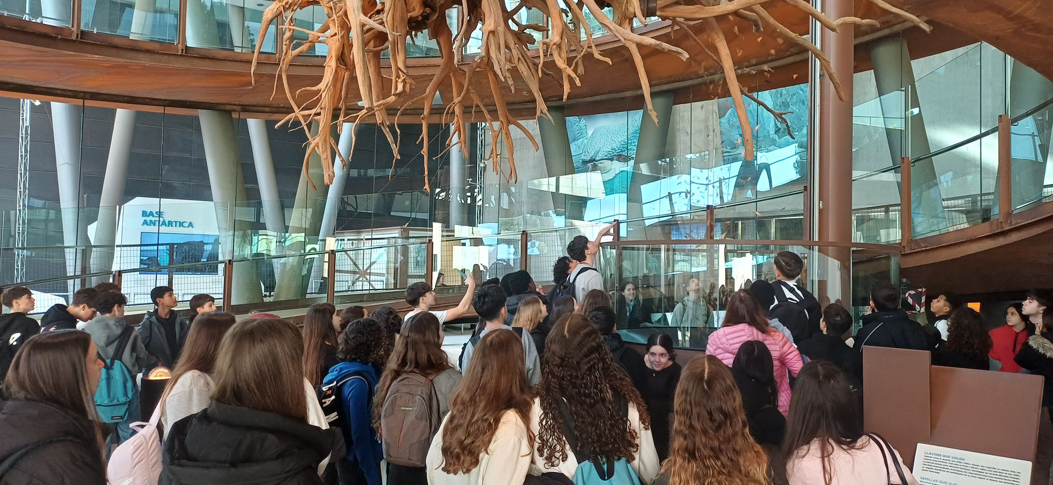 WhatsApp Image 2026-03-11 at 19.37.29