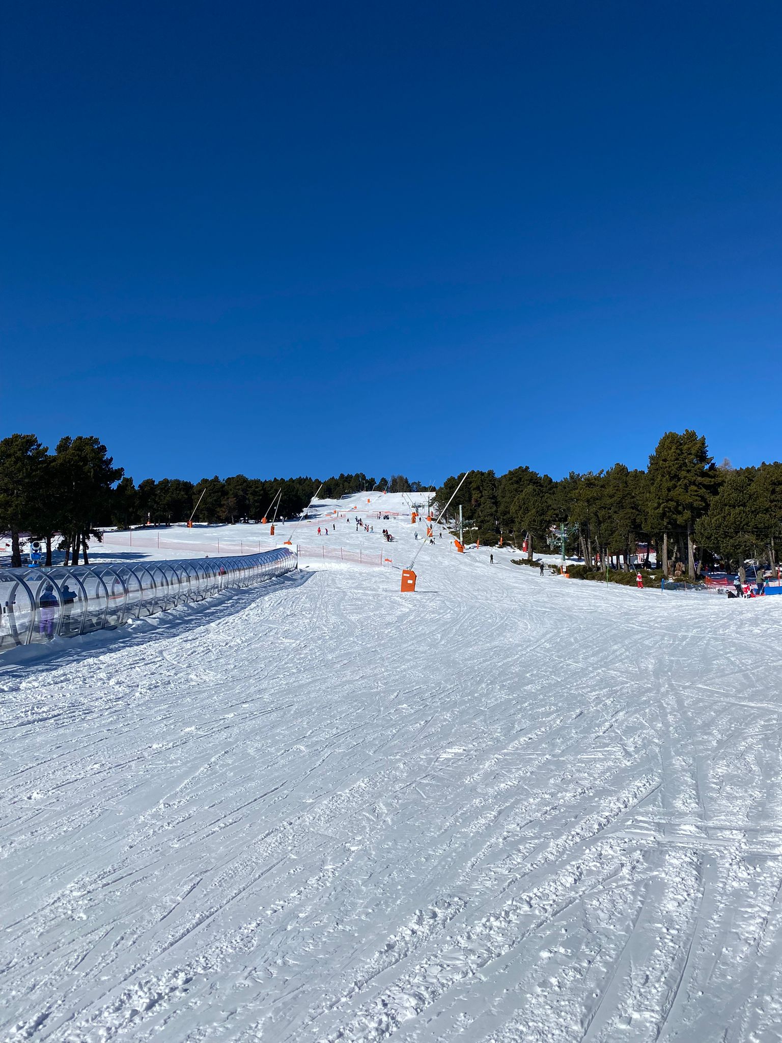 38bd0bba-031b-45e0-b287-77d61373c9c9