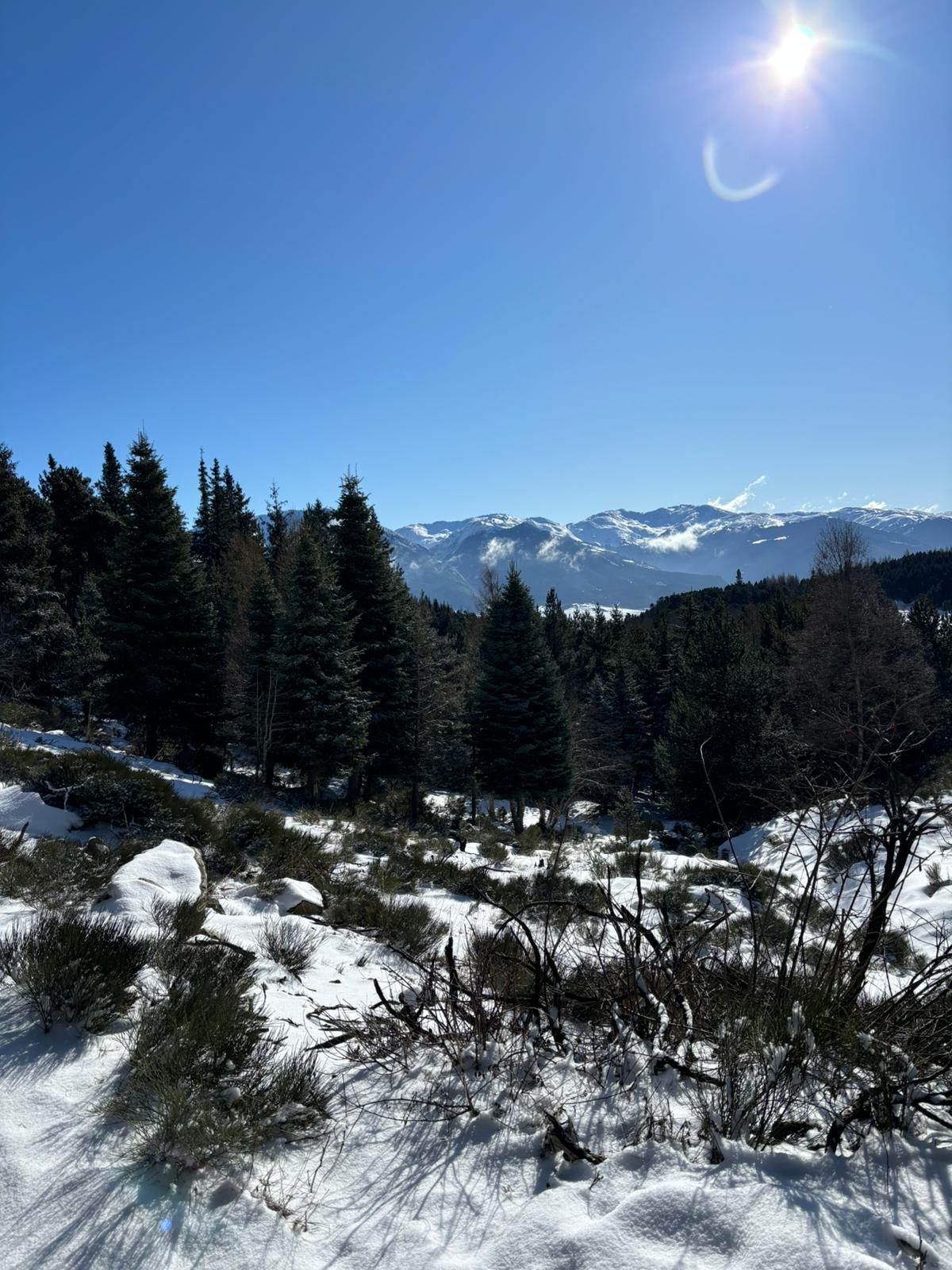 PHOTO-2025-01-17-12-46-17