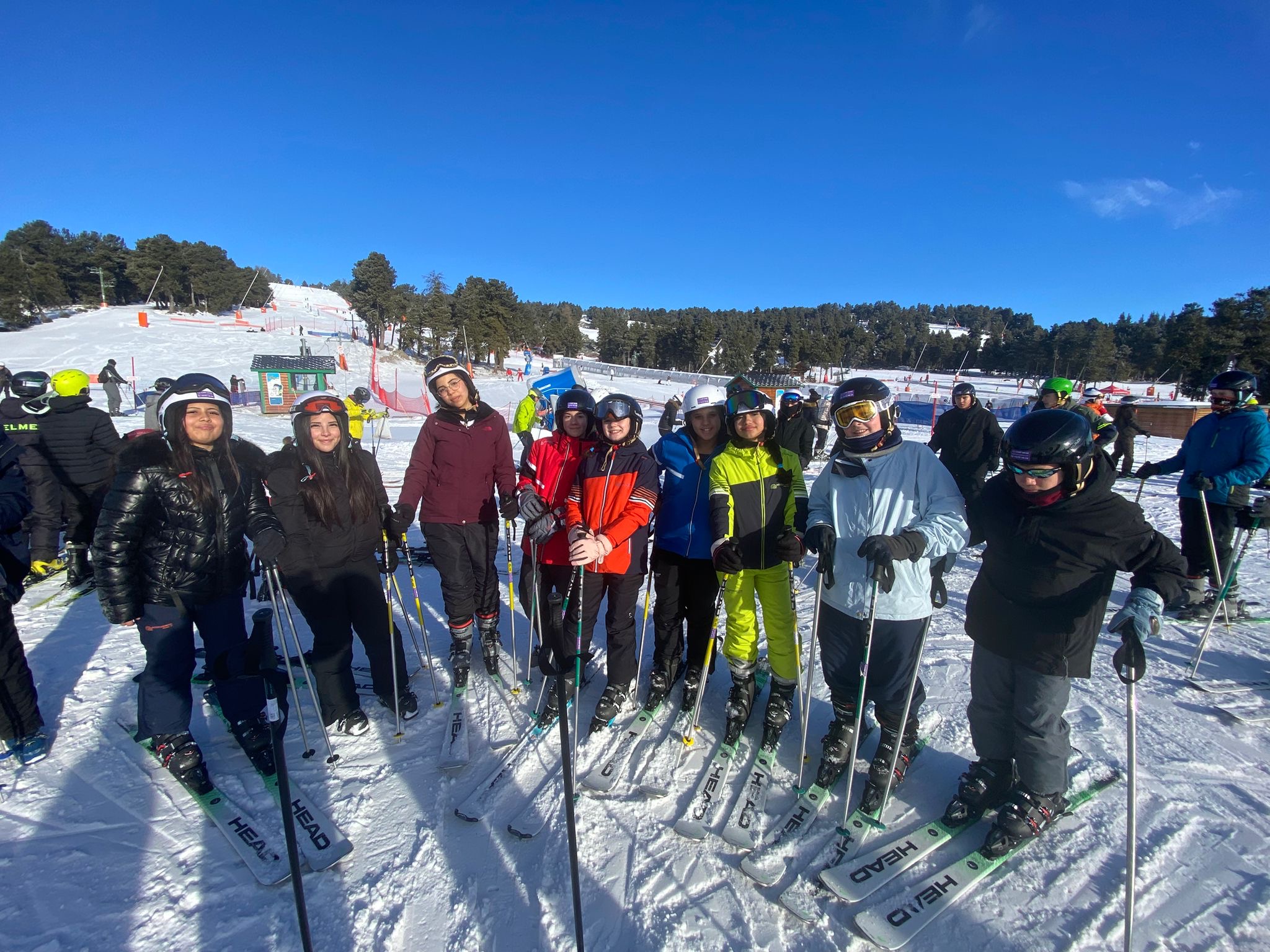 d593fb88-0ec2-4482-a59a-ec3de7fe0455