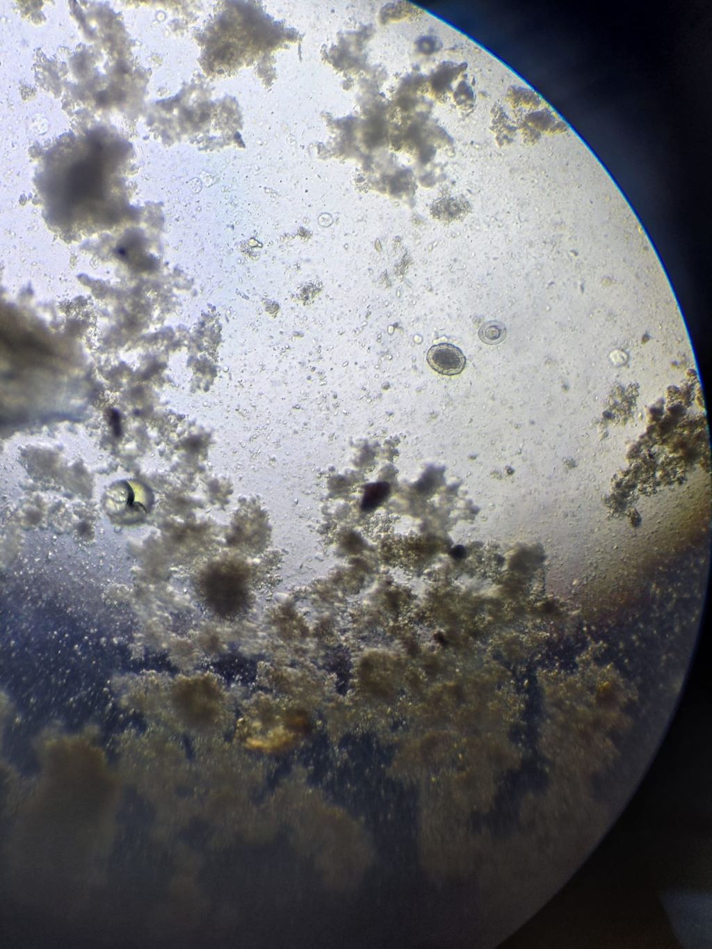 ad2472e4-a8b3-4971-bcb0-9a23236b9097