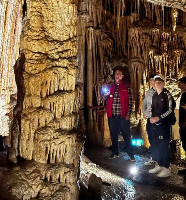 6afd75b1-31bb-40f9-9e80-5c91dceaf707