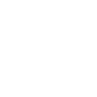 pfi icon