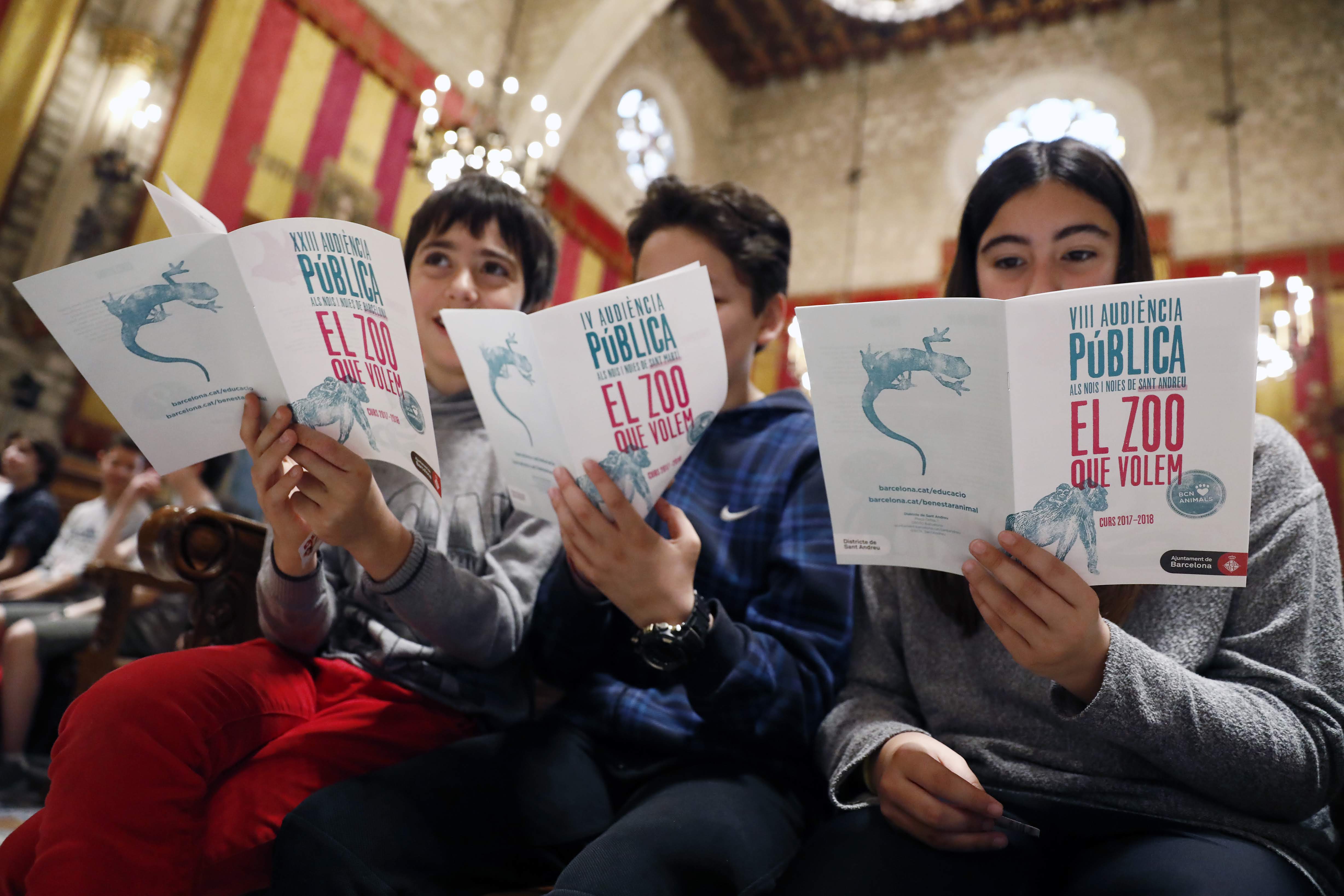 180523PAudienciaPublicaNoisiNoies 003