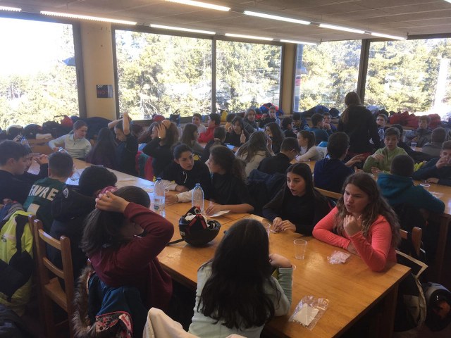 PHOTO-2019-02-20-13-20-57_640x480