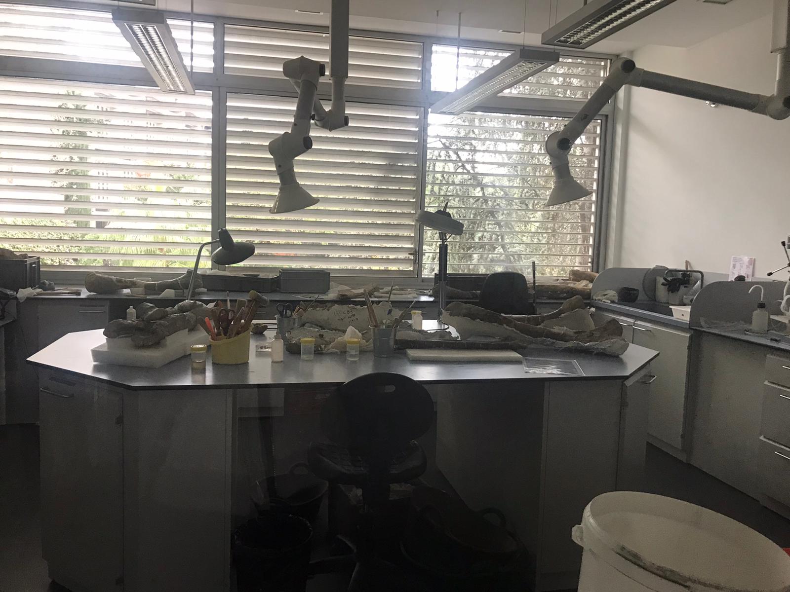 PHOTO-2020-11-20-13-21-26