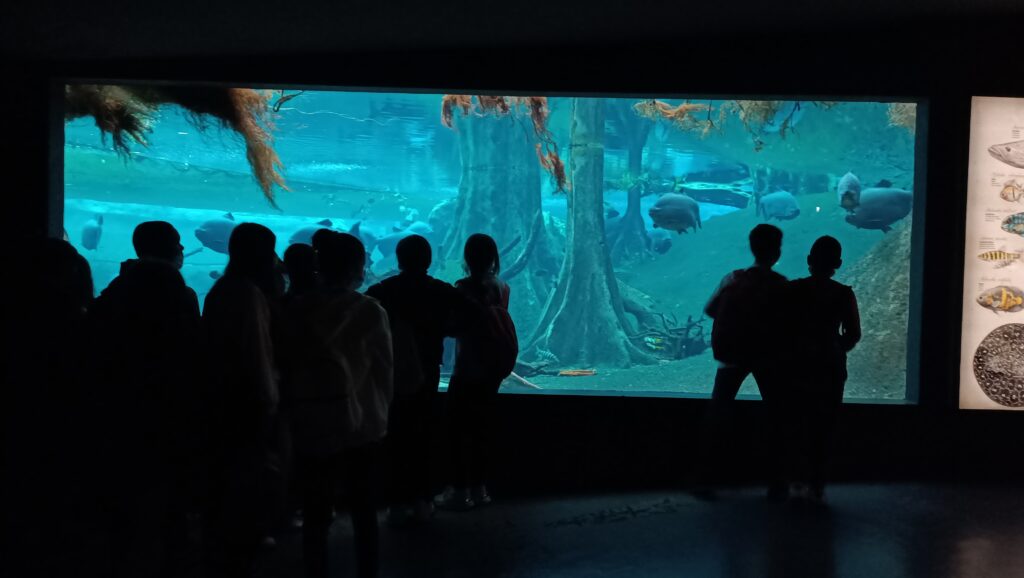 L'alumnat de 1r d'ESO al bosc amazònic del Cosmocaixa de Barcelona