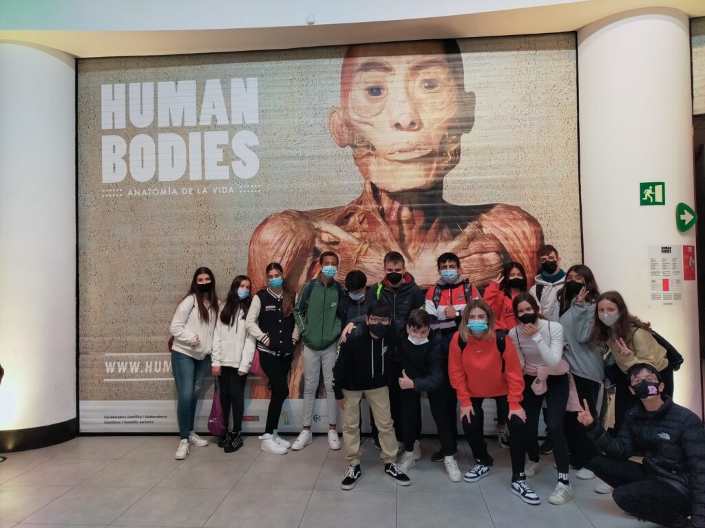 L'alumnat de 3r ESO a l'exposició Human Bodies