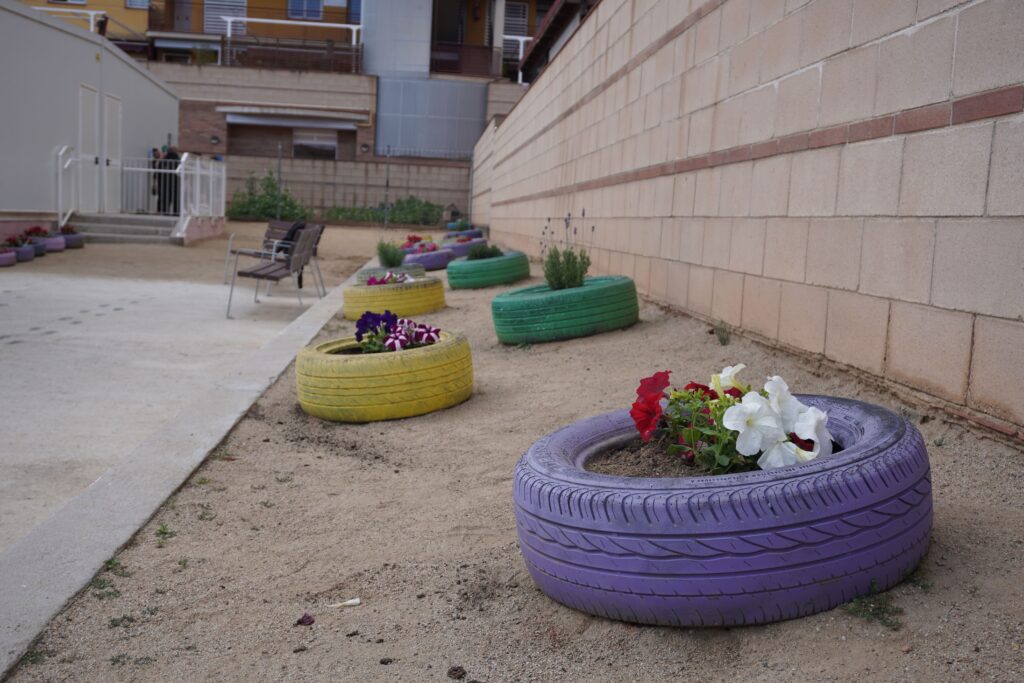 Flors al pati de l'institut