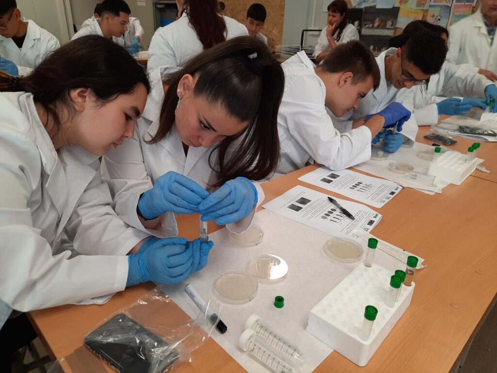 en diferents mostres de sòl