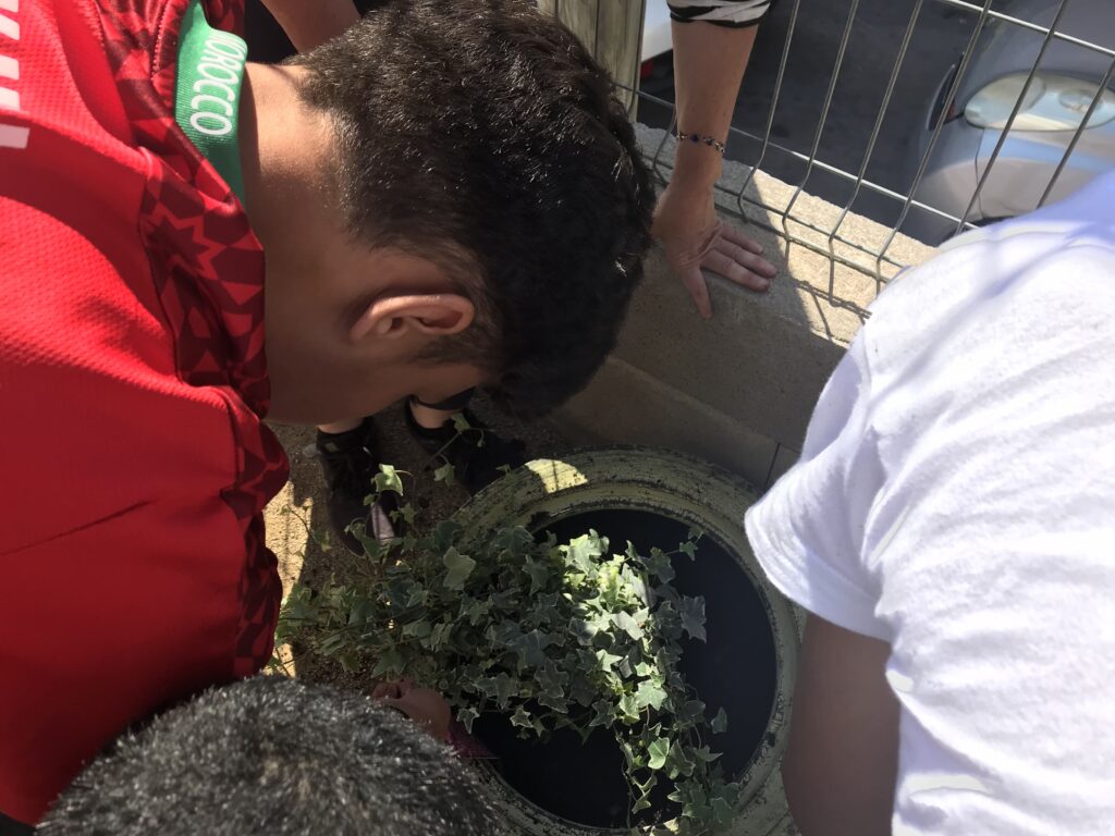 Taller d'Arquiescola a 2n d'ESO